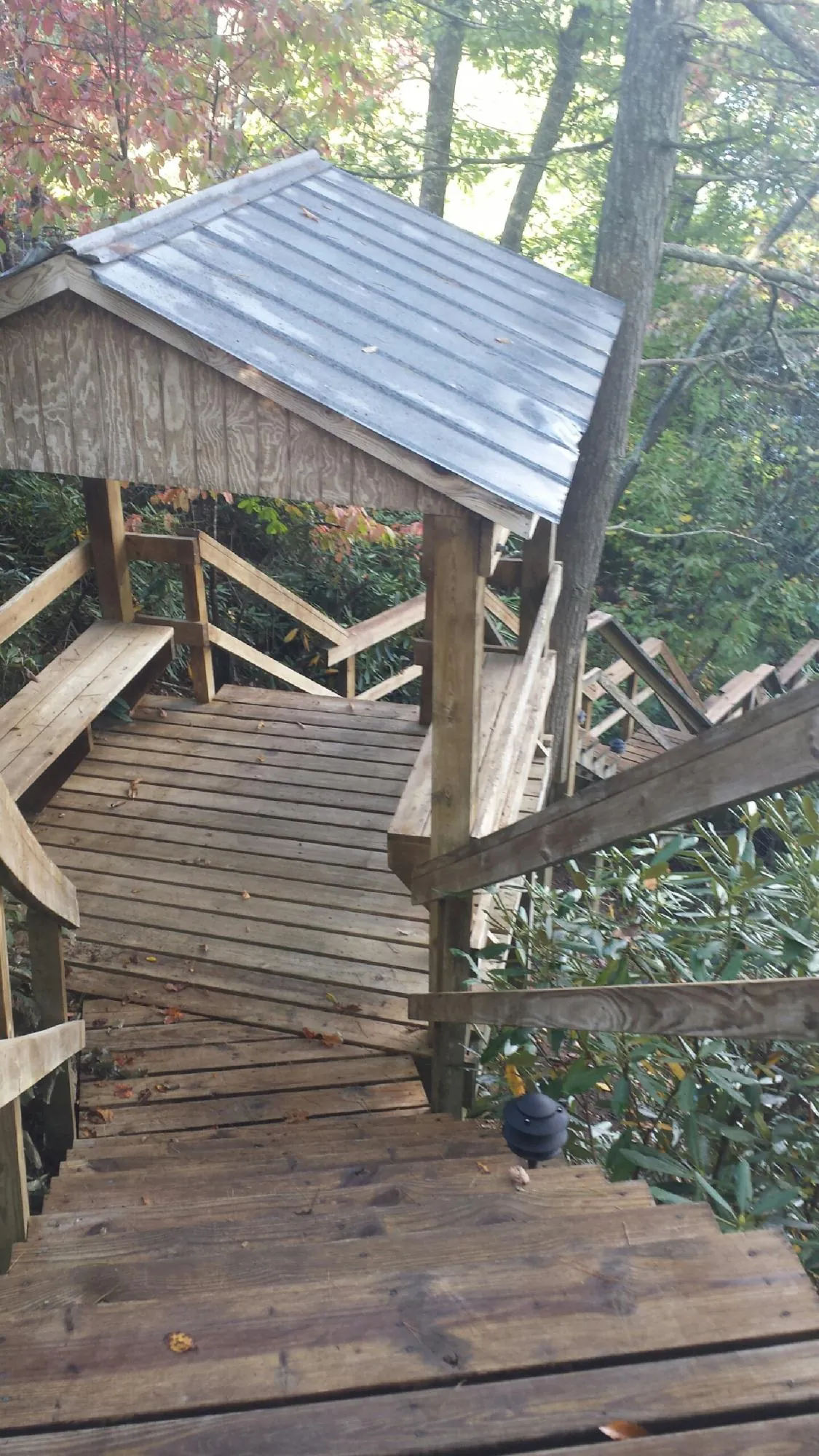 Metal roofed shelter over wooden steps on a wooded walkway — Skylight Repair & Installation work by our crew in Blain